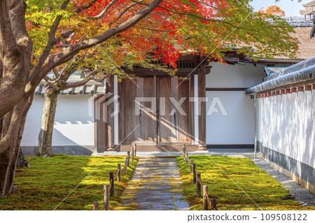 秋天的京都，大德寺，禦梅院，唐門被秋葉覆蓋 109508122