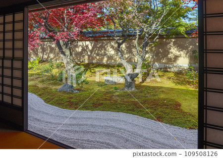 秋天的京都、大德寺、禦梅院、秋葉覆蓋的花園 109508126