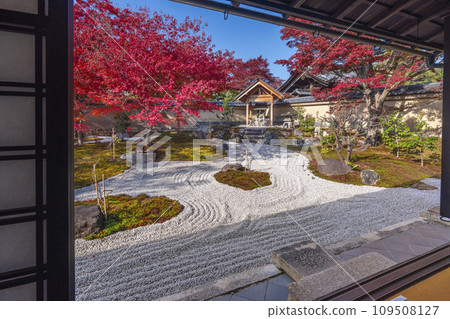 Autumn Kyoto, Daitokuji sub-temple, Obai-in, garden covered in autumn leaves 109508127