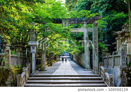 Kagawa Kotohira Shrine Sakurababa Torii Kagawa Kotohira Shrine Sakurababa Torii 109508139