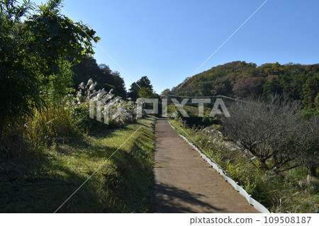 View of Isehara Tonoyama Ryokuchi Park in early winter View of Isehara Tonoyama Ryokuchi Park in early winter 109508187