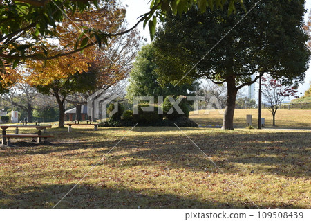 Scenery of Sagami Mikawa Park in early winter 109508439