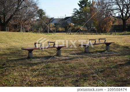 初冬的相模三河公園風景 109508474