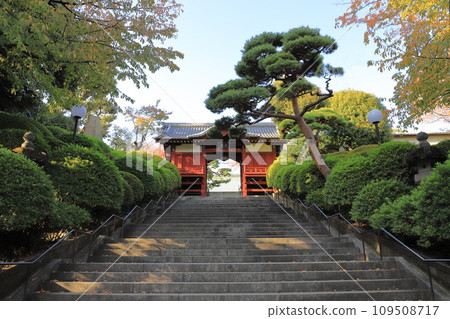 Gokoku Shrine Furomon, Bunkyo-ku, Tokyo Gokoku Shrine Furomon, Bunkyo-ku, Tokyo 109508717