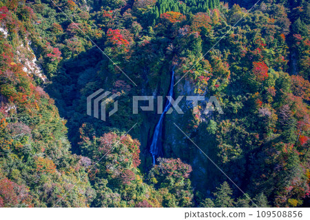 Shakedown瀑布 109508856