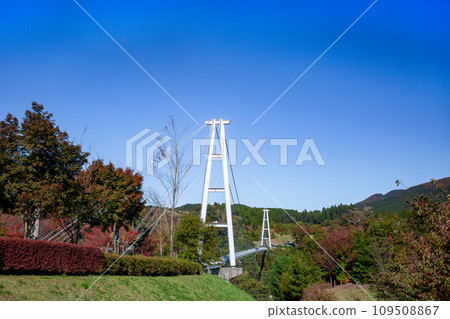 Kokonoe "Dream" Suspension Bridge and Autumn Leaves 109508867