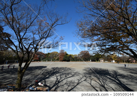 初冬的橫濱市都築區公園景色 109509144
