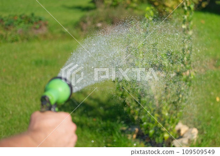 Gardener with a watering hose. Person spraying green grass lawn with hose sprayer. Irrigation with water, sunny day. Garden sprinkler in action. Landscaping. Gardening, waters, growing and plants care Gardener with a watering hose. Person spraying green grass lawn with hose sprayer. Irrigation with water, sunny day. Garden sprinkler in action. Landscaping. Gardening, waters, growing and plants care 109509549