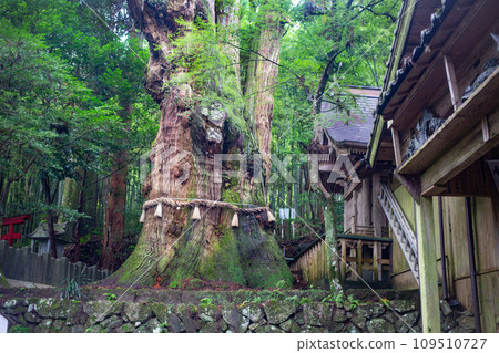 Osugi from Yufuin Osugi from Yufuin 109510727