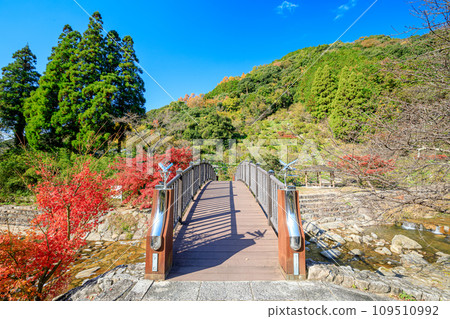 佐賀縣唐津市見賀裡瀑布附近的秋螢橋 佐賀縣唐津市見賀裡瀑布附近的秋螢橋 109510992