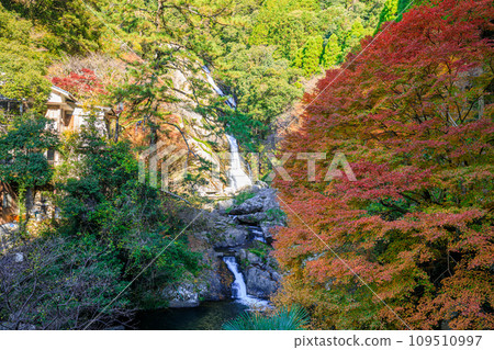 Autumn Mikaeri Waterfall Karatsu City, Saga Prefecture Autumn Mikaeri Waterfall Karatsu City, Saga Prefecture 109510997