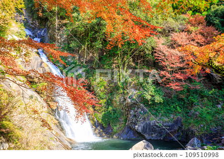 Autumn Mikaeri Waterfall Karatsu City, Saga Prefecture Autumn Mikaeri Waterfall Karatsu City, Saga Prefecture 109510998