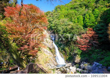 Autumn Mikaeri Waterfall Karatsu City, Saga Prefecture Autumn Mikaeri Waterfall Karatsu City, Saga Prefecture 109511004