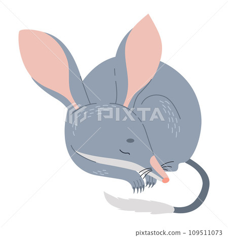 Cute sleeping bilby animal. Australian wild mammal. Vector illustration in flat style 109511073