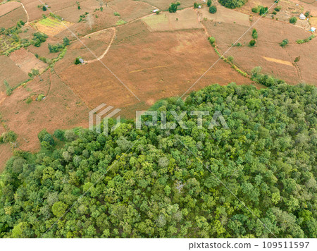 The biggest cause of forest loss is agricultural deforestation ,environmental damage in Southeast Asia , global warming and environment. The biggest cause of forest loss is agricultural deforestation ,environmental damage in Southeast Asia , global warming and environment. 109511597