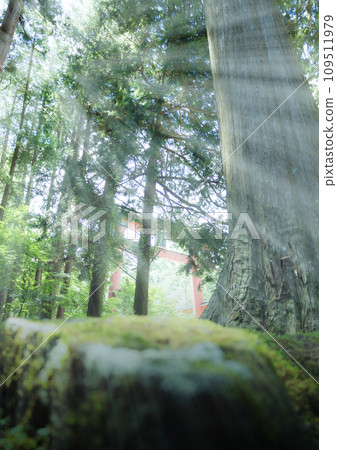 Torii with a halo 109511979