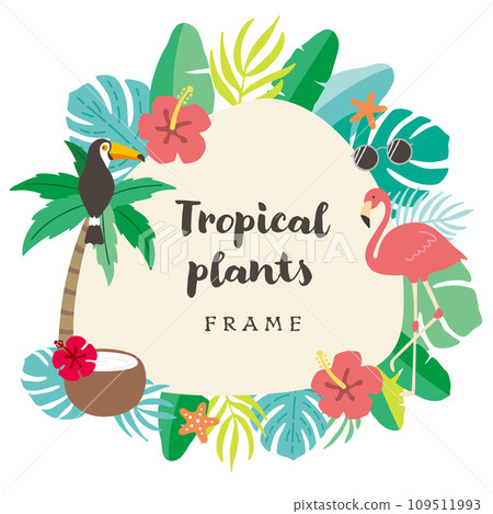 Summer botanical frame 109511993