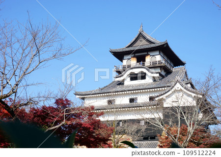 Inuyama Castle shines in the autumn leaves 6 Inuyama Castle shines in the autumn leaves 6 109512224