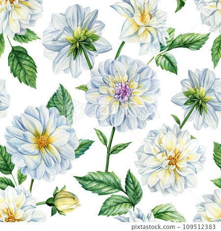 Dahlia flower. Watercolor floral seamless pattern, flowers and green leaves botanical hand drawn watercolor illustration 109512383