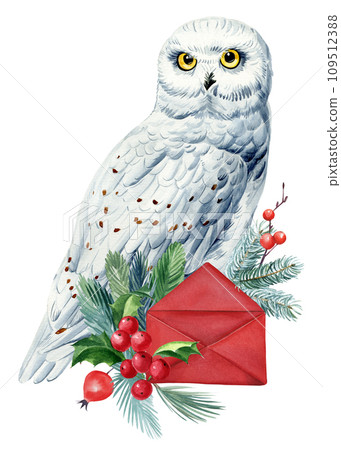 Christmas holiday bird, cute arctic owl and red envelope, colored watercolor illustration Christmas holiday bird, cute arctic owl and red envelope, colored watercolor illustration 109512388