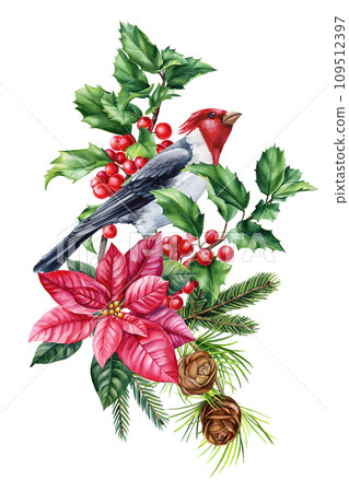 Red cardinal, bird and green leaves, holly branches, pine cone and star flower. drawn in watercolor postcard, poster 109512397