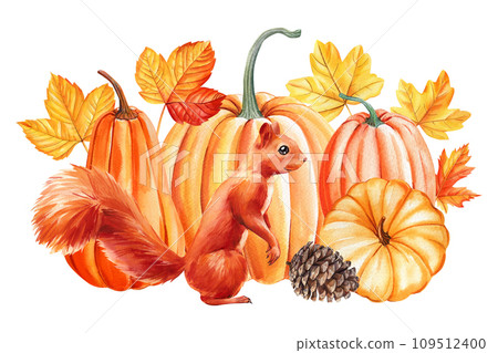Cute squirrel, cone, pumpkin and leaves maple, watercolor hand drawing. Autumn fall composition 109512400
