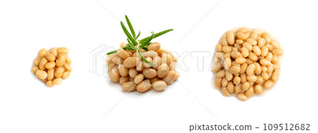 White Kidney Beans Isolated 109512682