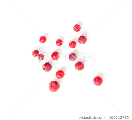 Frozen Lingonberry, Iced Cowberry, Snow Cranberry, Red Viburnum Berries, Frozen Lingonberry Frozen Lingonberry, Iced Cowberry, Snow Cranberry, Red Viburnum Berries, Frozen Lingonberry 109512715