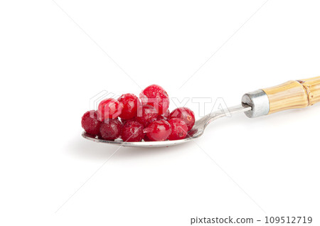 Frozen Lingonberry, Iced Cowberry, Snow Cranberry, Red Viburnum Berries, Frozen Lingonberry Frozen Lingonberry, Iced Cowberry, Snow Cranberry, Red Viburnum Berries, Frozen Lingonberry 109512719
