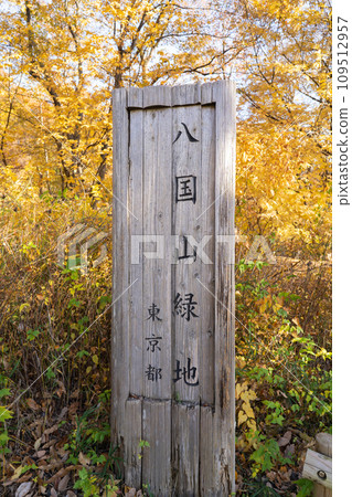 Hakkokuyama (Sayama Hills) Hakkokuyama (Sayama Hills) 109512957