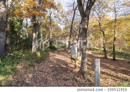 Mt. Hakkoku trailhead (Sayama Hills) Mt. Hakkoku trailhead (Sayama Hills) 109512958