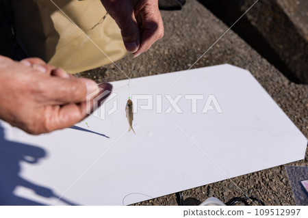 享受在河裡釣魚的樂趣 109512997