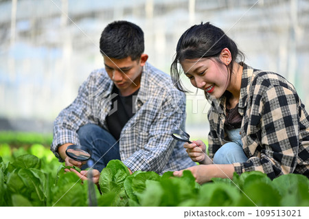 Young smart young farmers examining plant insects in greenhouse. Eco farming, gardening and agribusiness concept 109513021