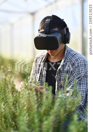 Farmer in VR headset controlling process of growing rosemary in greenhouse cultivation. Smart farming concept 109513035