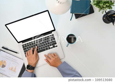 Fresh green lettuce growing in organic greenhouse. Sustainable agriculture and Healthy food concept Fresh green lettuce growing in organic greenhouse. Sustainable agriculture and Healthy food concept 109513080