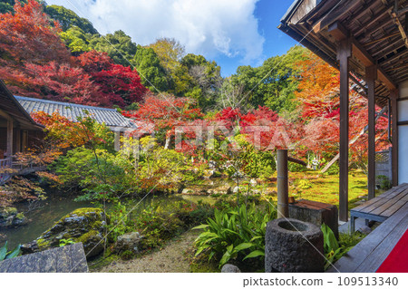 秋天的京都,實相院門跡,被秋葉包圍的風景園林 秋天的京都,實相院門跡,被秋葉包圍的風景園林 109513340