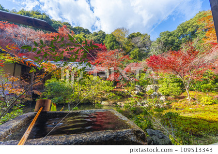 秋天的京都，實相院門跡，被秋葉包圍的風景園林 109513343