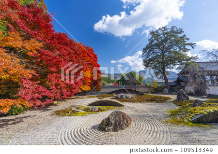 秋天的京都，實相院門跡，被秋葉覆蓋的“心之花園” 109513349