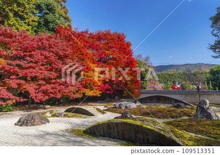 Autumn Kyoto, Jissoin Monzeki, “Garden of the Heart” covered in autumn leaves Autumn Kyoto, Jissoin Monzeki, “Garden of the Heart” covered in autumn leaves 109513351