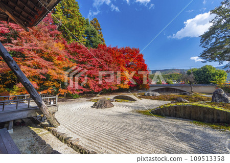 秋天的京都，實相院門跡，被秋葉覆蓋的“心之花園” 109513358