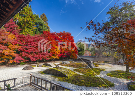 秋天的京都,實相院門跡,被秋葉覆蓋的“心之花園” 秋天的京都,實相院門跡,被秋葉覆蓋的“心之花園” 109513360