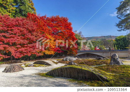 秋天的京都,實相院門跡,被秋葉覆蓋的“心之花園” 秋天的京都,實相院門跡,被秋葉覆蓋的“心之花園” 109513364