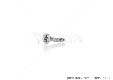 macro screw of silver color on a white background 109513627