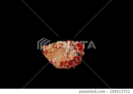 Macro mineral stone Vanadinite on a black background 109513752