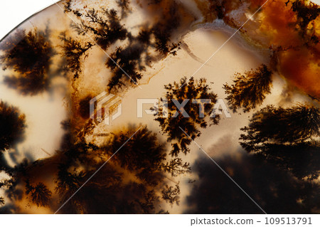 Macro mineral stone Moss Agate, Agate muschiataan white 109513791