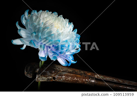 Composition with an old rusty wrench and chrysanthemum flower 109513959