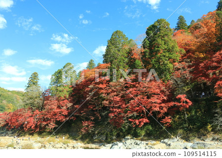 秋天香火Karami河 109514115