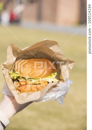 Woman holding a hamburger in hand Woman holding a hamburger in hand 109514194