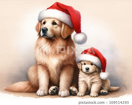 Parent and child of dogs in Santa hats 109514293