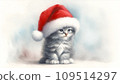 灰色小貓聖誕老人 109514297